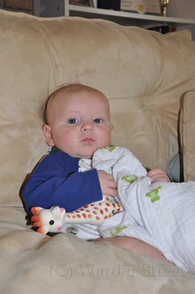 William's Fourteenth Week 13.jpg